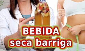 BEBIDAS PARA EMAGRECER