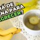 Chá de Banana: desincha, emagrece e aumenta a imunidade