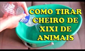 Como Tirar o Cheiro de Xixi dos Pets em Casa