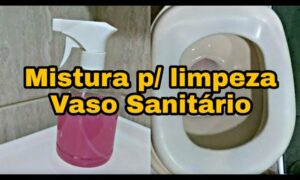 Misturinha Caseira para Desinfetar Vaso Sanitário de Forma Econômica