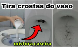 Misturinha Caseira para Tirar Crosta de Vaso Sanitário